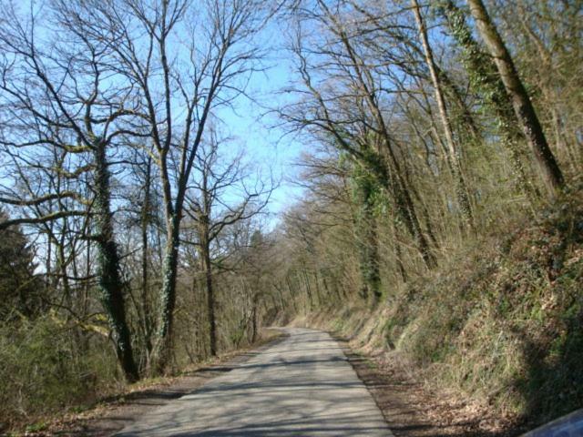 Le Poirier De Warre Durbuy Exterior foto